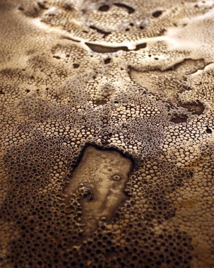 Based Upon Surface - Stingray Backbone