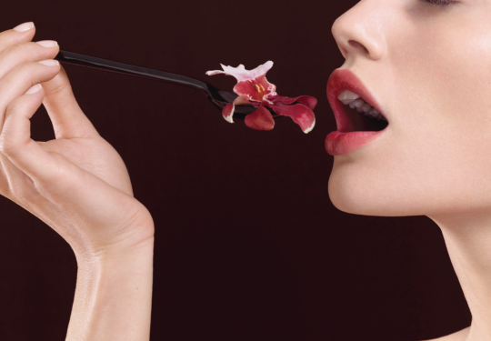 Double Dutch - Flower Council of Holland