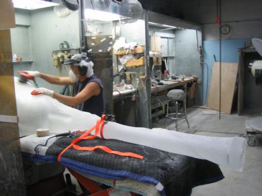 Nocturne of the Limax maximus by Paula Hayes