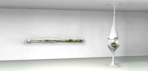 Nocturne of the Limax maximus by Paula Hayes