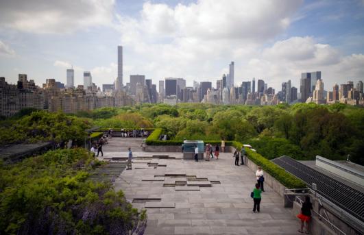 The Met's Roof Garden Commission: Pierre Huyghe
