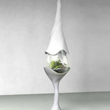 Nocturne of the Limax maximus by Paula Hayes