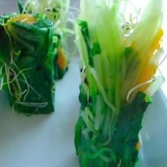 Lucky Mi Fortune cooking by Debra Solomon. Dishes prepared from leftovers found at supermarkets, restaurants, and markets.