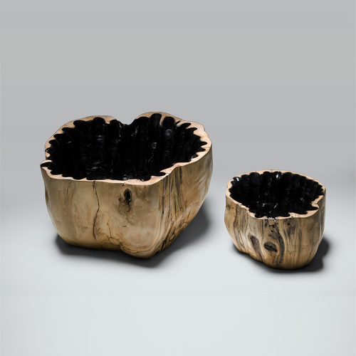 bol A Zampa by Giacomo Moor