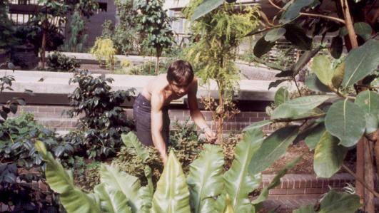 Flying Trees and Sunken Squares at the Barbican 