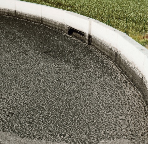 Cow Dung Goes High Design