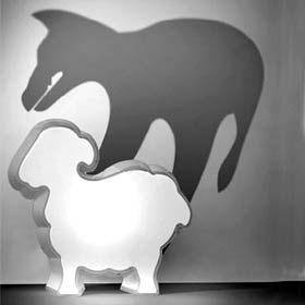Wolf in Sheep's Lighting by Geraint Krumpe & Marcus Bosch