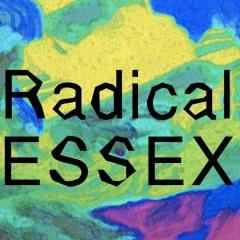 ESSEX Architecture Weekend	 