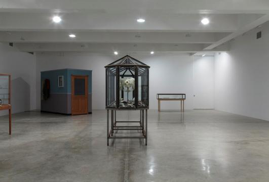 Mark Dion at Tanya Bonakdar Gallery