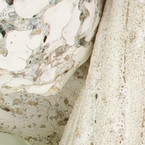 'Echo' : Tony Marsh at Hedge Gallery