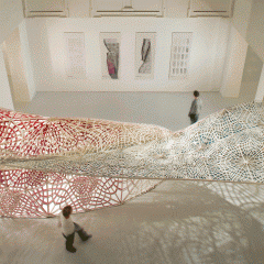 Technicolor Bloom Installed at the Sliver Gallery, Vienna