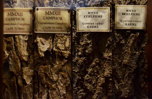 The Schildbach Xylotheque by Mark Dion