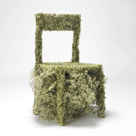 'Harvest'- Asif Khan