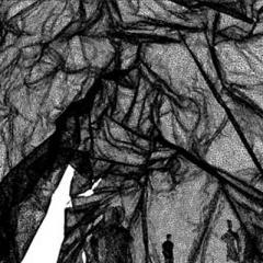 Fast Forward by Rabih Hage 