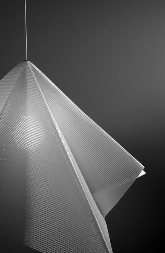 'Flight' by Nathalie Dewez