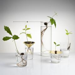 Floating Forest Series by Michael Anastassiades