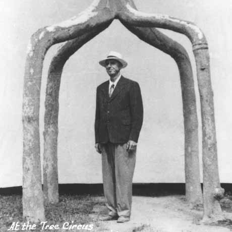 How to Grow a Chair: An Interview with Richard Reames