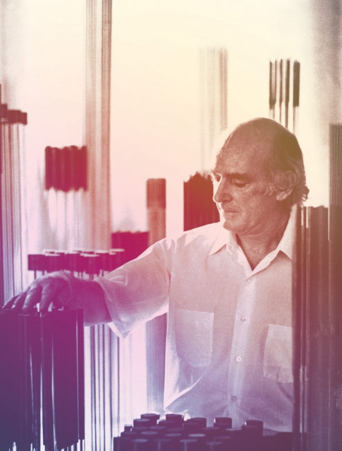 Atmosphere for Enjoyment: Harry Bertoia’s Environment for Sound