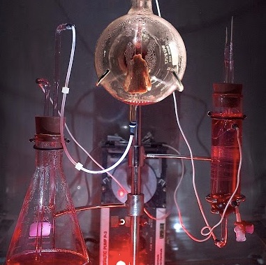 The Royal College of Art Appoints Oron Catts and Dr Ionat Zurr