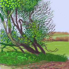 'The Arrival of Spring in Woldgate' iPad painting by David Hockney  