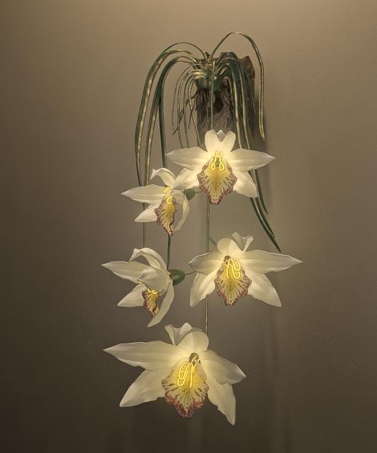 Cymbidium Exotica