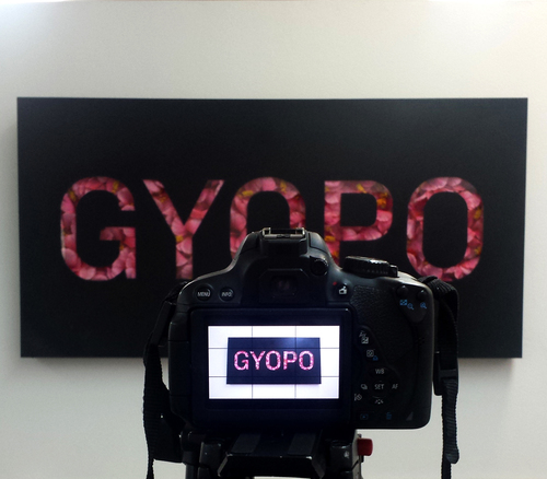 GYOPO a group exhibition at Industry Gallery, LA 