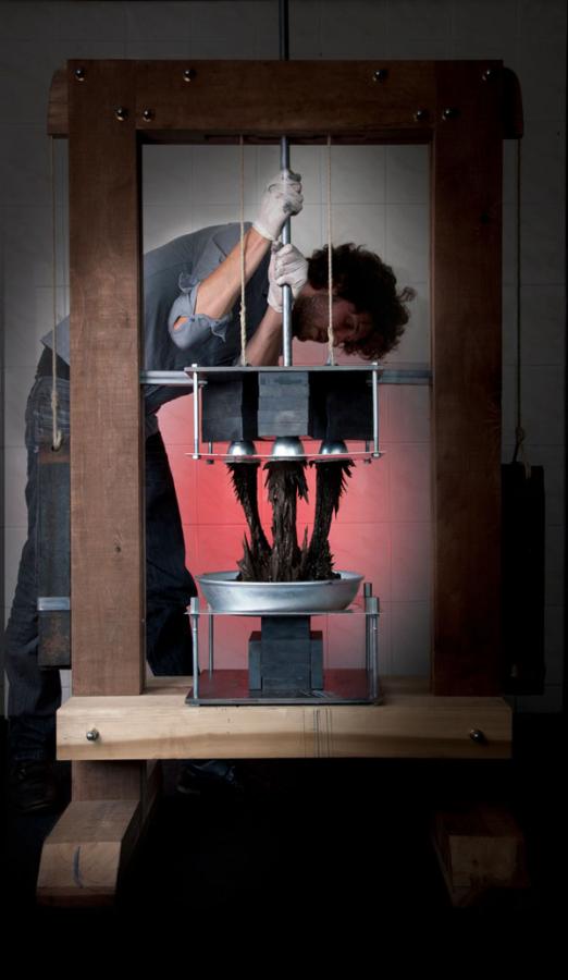 'Gravity' by Jolan van der Wiel 