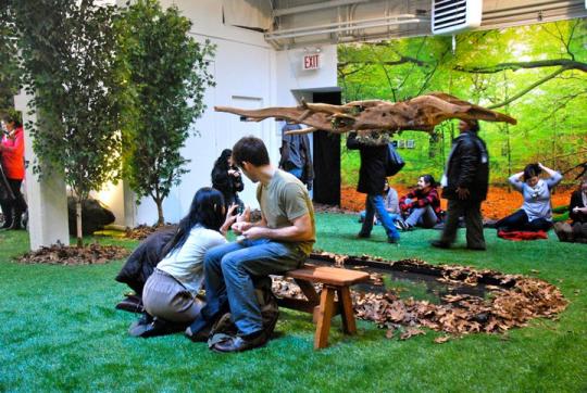 Pop-Up Park at OpenHouse Gallery