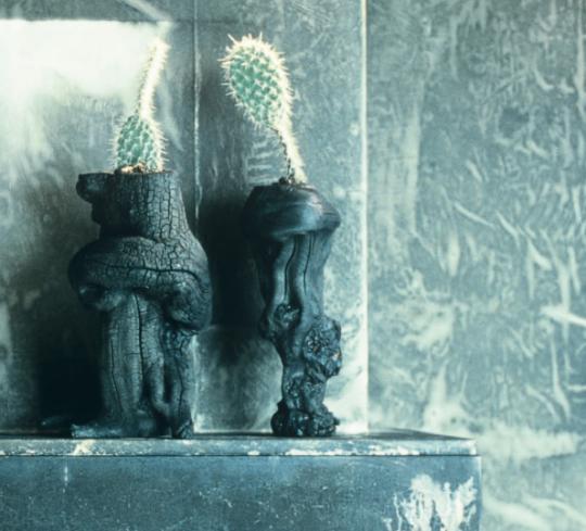 Ensemble de quatre pots en chêne brule by Christophe Coppens