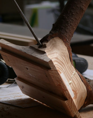 'Fragments of Nature' by Lex Pott