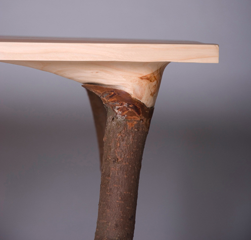 'Fragments of Nature' by Lex Pott