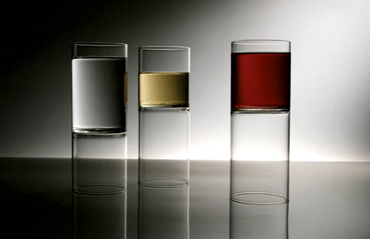 Revolution by Felicia Ferrone