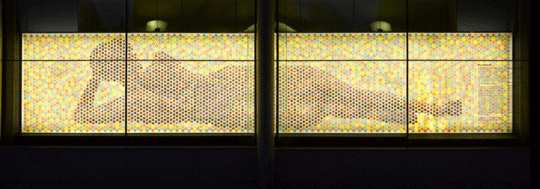 Co-Existence: 215 Euston Road window display Credit: Wellcome Library, London