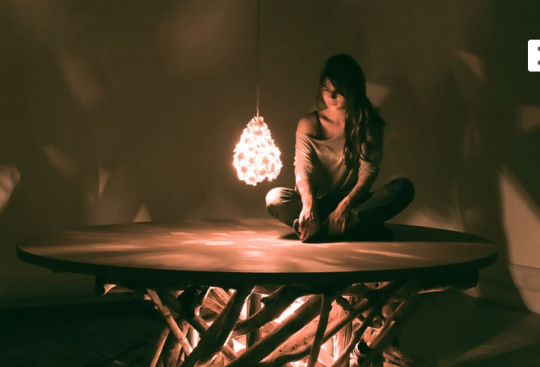 Martha Freud's - Focus Collection