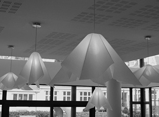 'Flight' by Nathalie Dewez