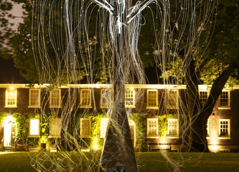 Kei Ito: Sitting the Light Fantastic