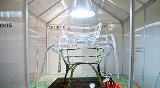 CHAIR FARM by Studio Aisslinge [photo: 19 Greek Street]