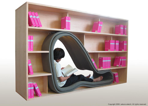 'Cave' Bookcase