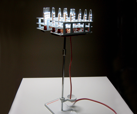 Andrew Aloisio - Lamp - Somewhere In Between