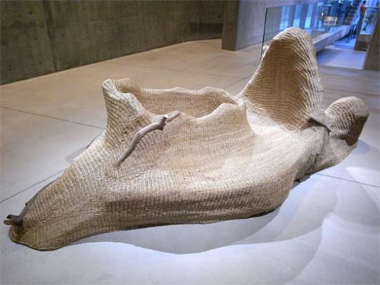 'Cristalina' by the Campanas Brothers 