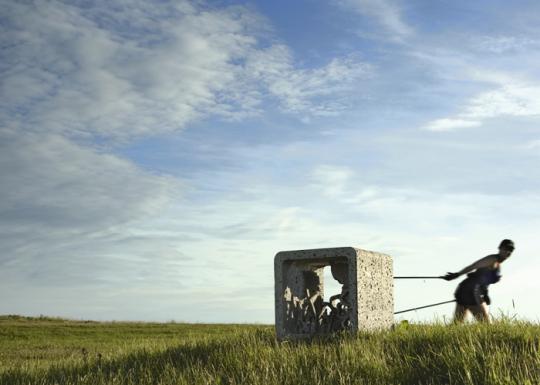 LavaFlower by Gudrun Lilja Gunnlaugsdottir