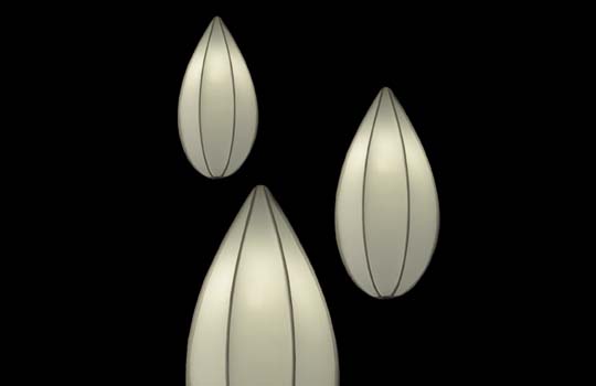 Lights by One Foot Taller